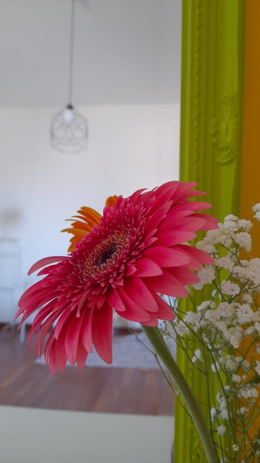 Sole Amare Guest House Bari Exterior foto